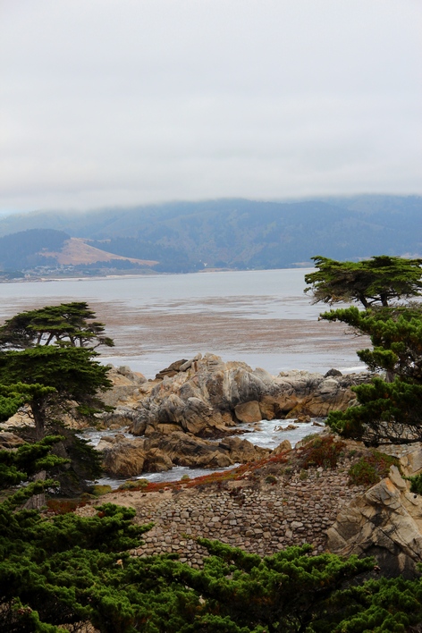 ��������� ����������